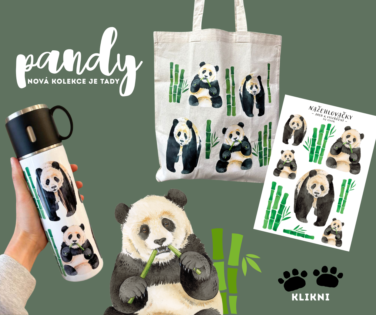 pandy